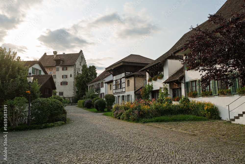 Naklejka premium Schweizer Dorf Greifensee