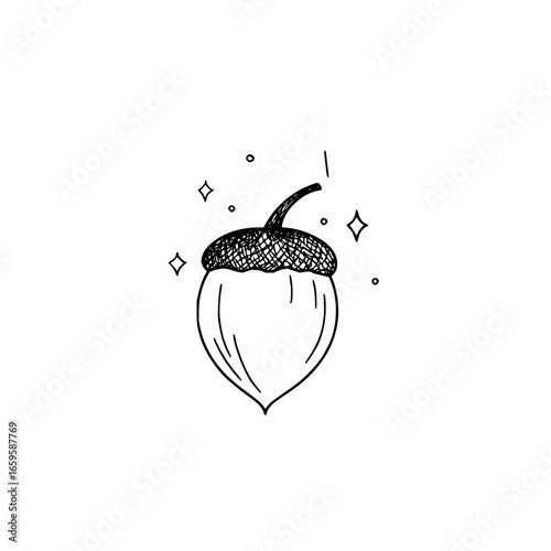 Acorn drawing cute vector illustration for fall autumn season design element and nature related projects hundred