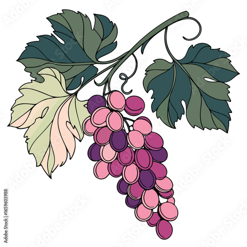 Fresh bunch of grapes vector illustration symbolizing organic farming, healthy eating, and a natural fruit lifestyle