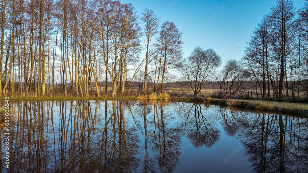 Fototapeta premium Calm Water Reflecting Leafless Trees Under a Clear Blue Sky