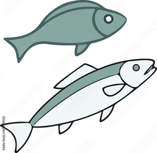 Detailed vector illustration of a fish identification slate showing different freshwater species in a clear educational design