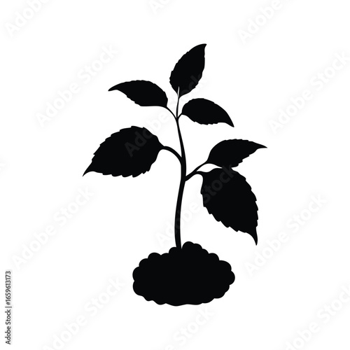 Silhouette of a young plant emerging from soil on a white background, plant tree silhouette vector illustration