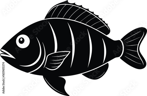 fish vector illustration