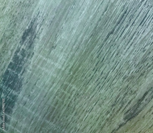 old wood texture tree desk surface oak background