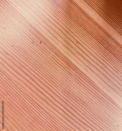 old wood texture tree desk surface oak background