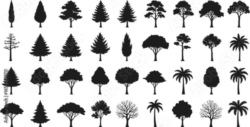 Tree silhouette vector collection, black tree shapes, forest icons, tropical and evergreen trees, nature 