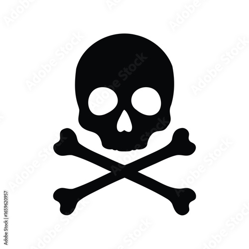 jolly roger pirate flag