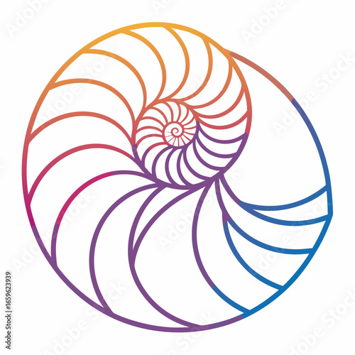 Vector art of colorful nautilus shell with spiral pattern