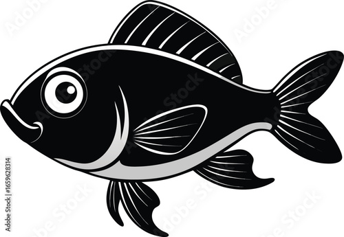 fish vector illustration