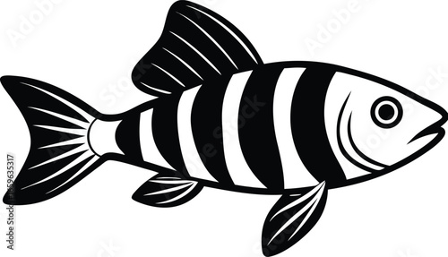 fish vector illustration