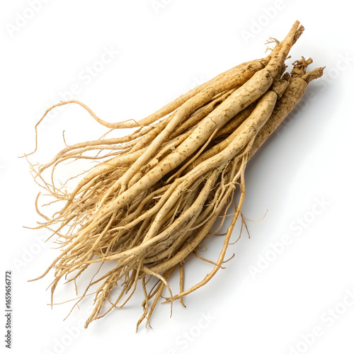 Dried shatavari root placed on a white background, emphasizing its fibrous texture, beige color,