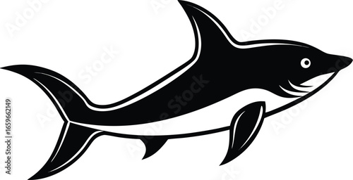 shark vector illustration