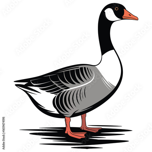 goose isolated on white background