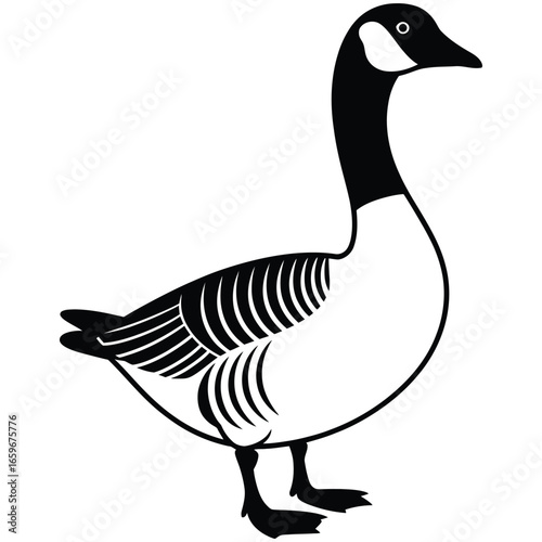 goose on white background