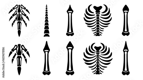 Collection of stylized black and white anatomical skeleton elements