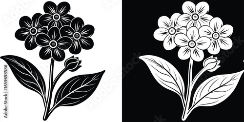 Elegant forget-me-not flowers botanical art with black and white contrast for modern creative designs and artistic backgrounds