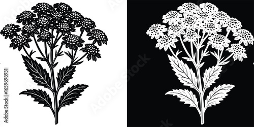 Elegant floral design for sophisticated invitations or branding in black and white, perfect for designers seeking a vintage touch