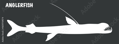 the silhouette of a fish on a dark background. The fish has a long body with a large head, sharp teeth and a glowing light at the end of the rod above its head