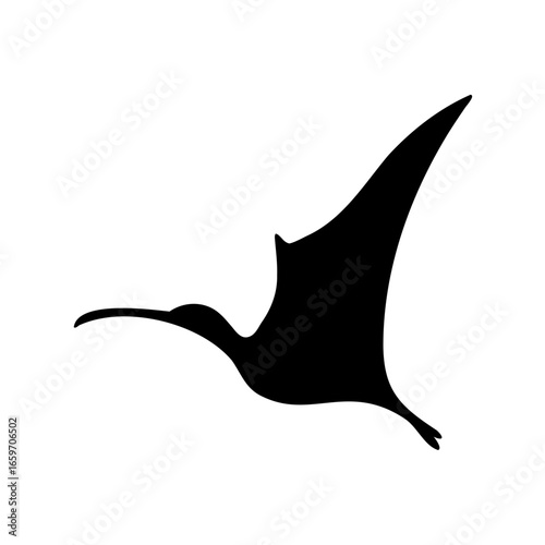 Silhouette of a Pterodactyl Soaring Through the Prehistoric Skies on White Background