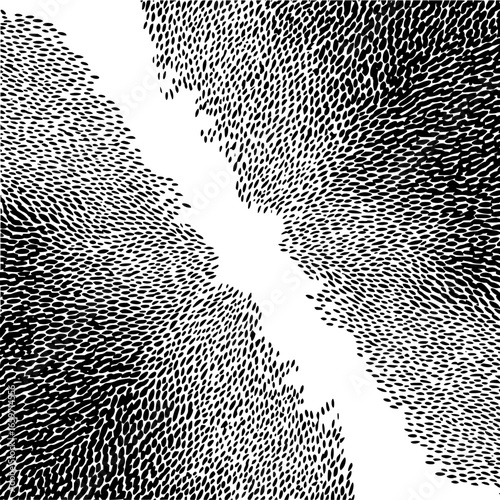 What happens when black and white collide? the answer will shock you! prepare to be amazed now!