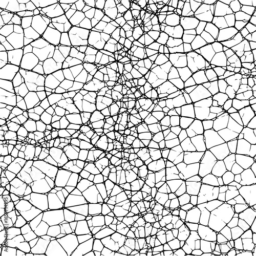 Prepare to be amazed by this incredible network that will change how you see the world forever!