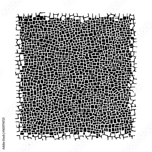 Unlock the secret behind this mesmerizing mosaic pattern you won't believe what happens next really amazing