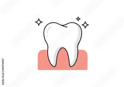 Vector icon of a clean and healthy sparkling white tooth set in gums.