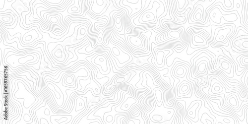 Abstract The pattern discovery vector topo diagram map. creative discovery White wave grid stripe line map topography. vector geographic contour mounted map background.	