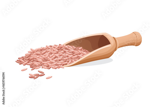 Red rice in a wooden scoop stock illustration