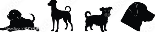 Collection of dog silhouettes with different breeds on a white background Keywords: silhouette, dogs