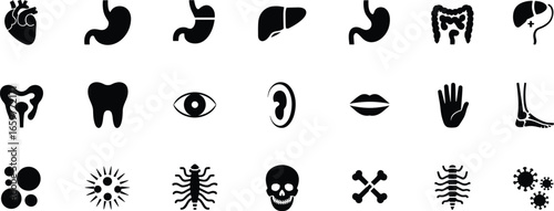 Set of black silhouette icons depicting human anatomy and medical symbols Keywords: silhouette