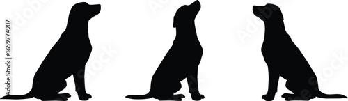 Three black silhouettes of dogs sitting and looking upwards on a white background vector illustration