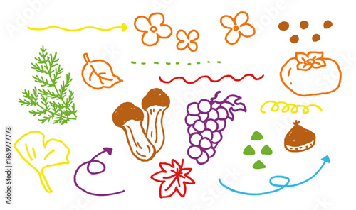 可愛い秋イメージのカラフル線画素材