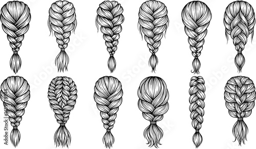 Braided hairstyles, intricate braid illustrations, vector hair designs, stylish plait patterns, creative hair braiding art, fashionable hairstyle icons, detailed hair texture drawing