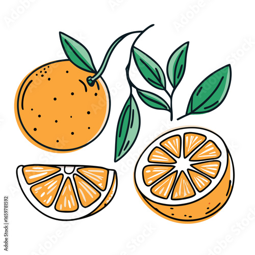 Orange fruit slices and whole fruit with green leaves vector