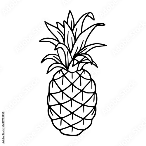 outline drawing of a tropical pineapple for coloring pages