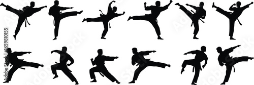 silhouettes of twelve martial arts fighters, various kicking and stance poses, vector illustration, black human shapes, combat sport outline art, isolated on white background