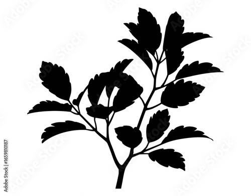 Black silhouette of a leafy plant branch leaves