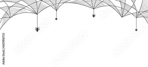Spider Web Hand Drawn Background. Line Art Minimalist Wallpaper Template for Halloween Design. Autumn Season Template for Greeting Card, Banner, Invitation, Media. Halloween Vector Illustration