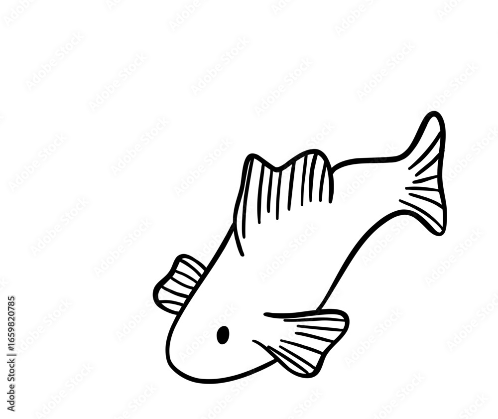 Fototapeta premium Happy Fish