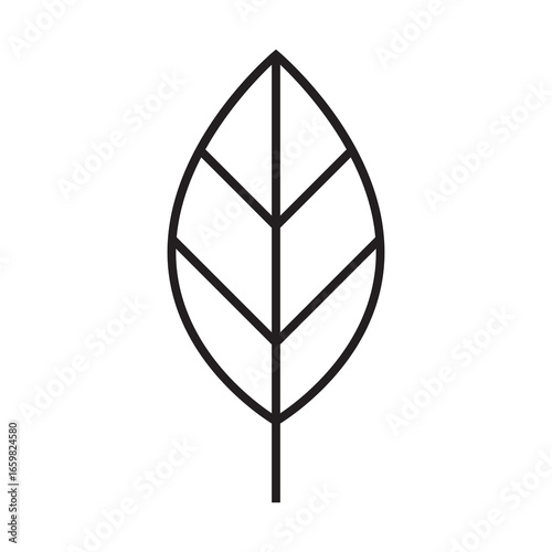 Decorative Leaf Illustration for Nature Ideas