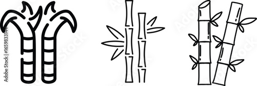 Bamboo Sugarcane line art icon set. Design elements for social network and application. on transparent background.Sugarcane stalks vector illustration of fresh sugarcane plants for agriculture. 