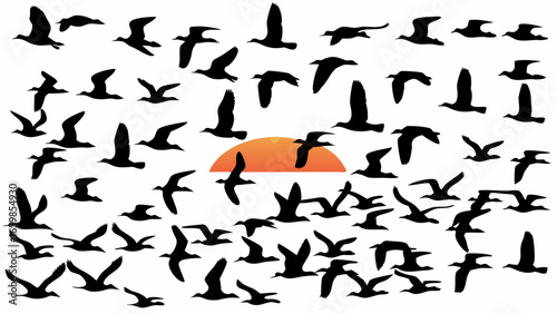 Silhouette of numerous birds flying in front of a sunset creating a visually striking composition scene