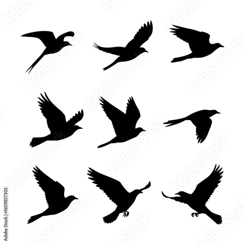 A set of nine black silhouette swallows in various stages of flight are displayed against a white background, capturing their dynamic movement and characteristic forked tails