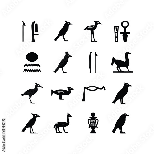 Ancient egyptian hieroglyphs featuring birds animals and symbols for history and culture vector
