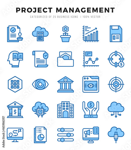 Project Management elements. Two Color web icon set. Simple vector illustration.