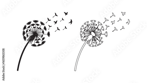 Dandelion seeds blowing with transparent background