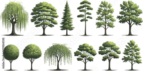 Here are the SEO-optimized keywords for this photo featuring a variety of illustrated trees with different shapes and foliage styles