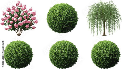 Garden bushes and decorative trees vector set, green topiary shrubs, blooming pink flower bush, landscape elements, isolated on white background