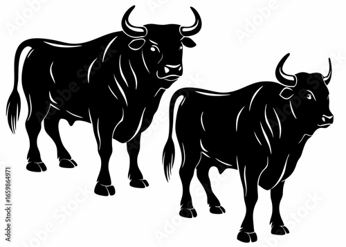 Two Bull Silhouettes